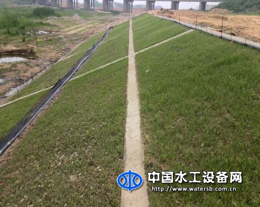 現(xiàn)澆植生生態(tài)混凝土