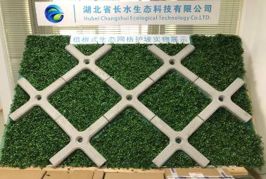 植根式生態(tài)網(wǎng)格護(hù)坡